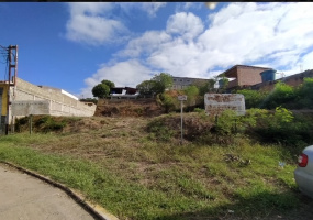 Charallave, Miranda, ,Terreno,En venta,6087