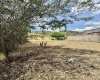 Charallave, Miranda, ,Terreno,En venta,7112