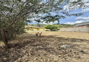 Charallave, Miranda, ,Terreno,En venta,7112