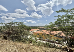 Charallave, Miranda, ,Terreno,En venta,7112